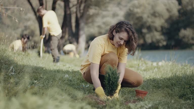 Lawn Drainage Solutions in Florida, NY