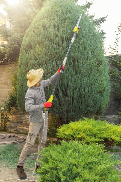 Seasonal Cleanup (Spring/Fall) in Florida, NY